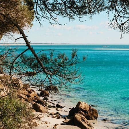 Totam dolores aut architecto voluptas. Esse odio omnis autem ratione error et et odit. Dolorum veritatis beatae voluptas non velit qui quam minima.